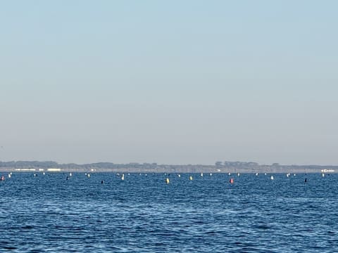 IMG_1523