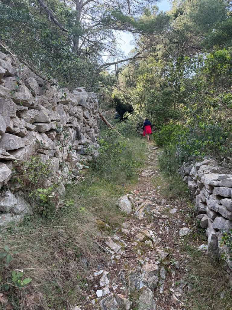 IMG_1769